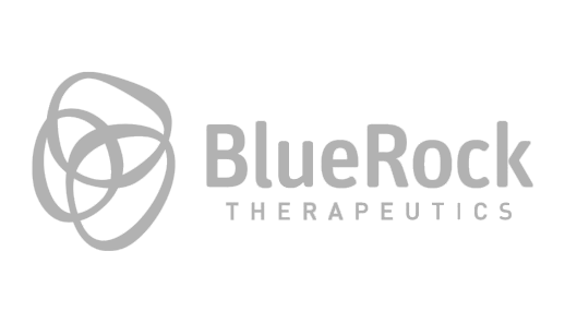 The BlueRock Therapeutics logo, captured through corporate photography, features a stylized circular icon next to the company name "BlueRock Therapeutics" in gray text.
